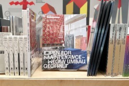 PEER HEMPEL Visual Artist