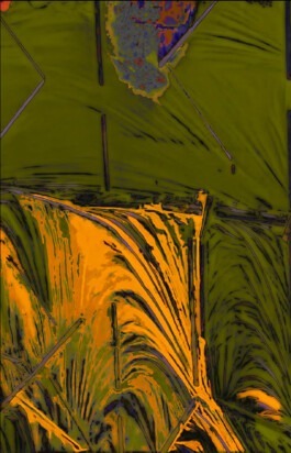 PEER HEMPEL Visual Artist