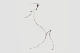 PEER HEMPEL Visual Artist