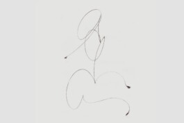 PEER HEMPEL Visual Artist