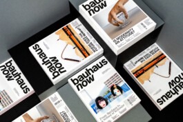 PEER HEMPEL Visual Artist