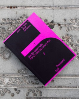 PEER HEMPEL Visual Artist