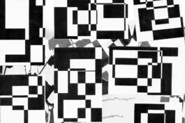 PEER HEMPEL Visual Artist