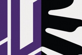 PEER HEMPEL Visual Artist