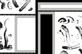 PEER HEMPEL Visual Artist