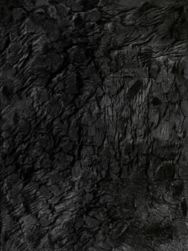 PEER HEMPEL Visual Artist