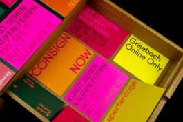 PEER HEMPEL Visual Artist